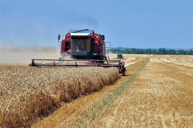 Rusya Tarım Bakanlığı buğday vergisini sıfır tuttu