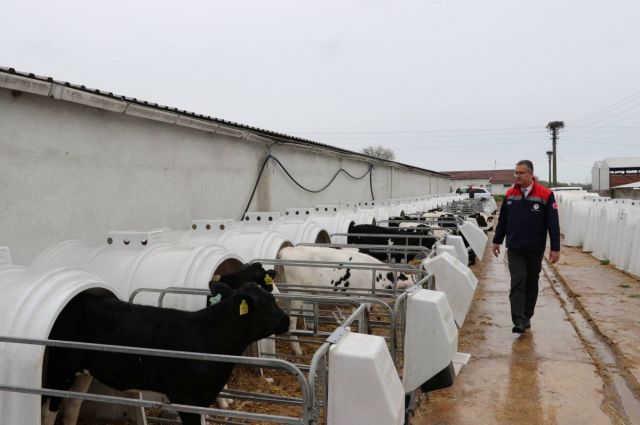 Samsun İl Tarım Müdürü Bafra’da Dev Organik Tesisi Denetledi