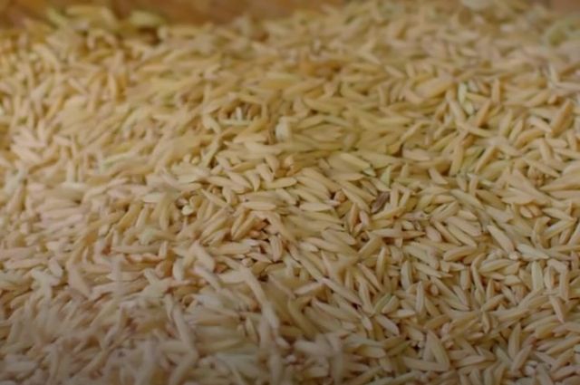 Toprak Mahsulleri Ofisi: Pirinç Satışı İddialarını Yalanladı