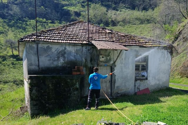 Trabzon Büyükşehir 20 Personelle Kahverengi Kokarca Avında