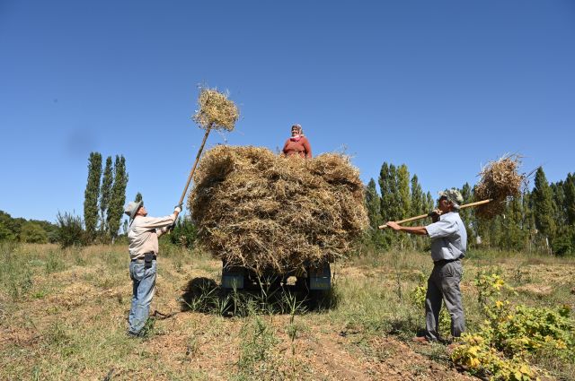 TÜİK Açıkladı: Mart Ayında Tarım-ÜFE Yıllık Yüzde 36,09 Arttı
