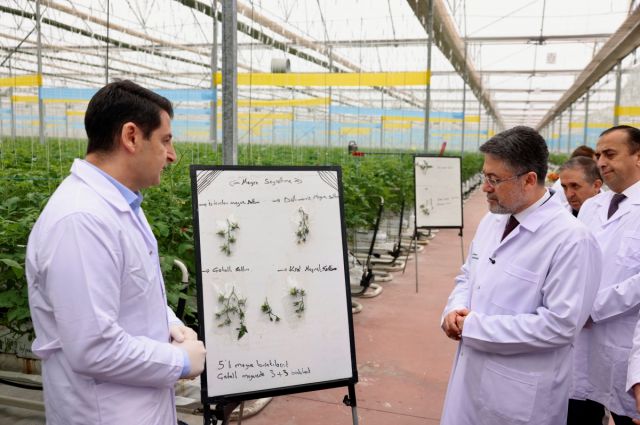 Yumaklı: Tarımsal girdilerde sorun yaşanmıyor