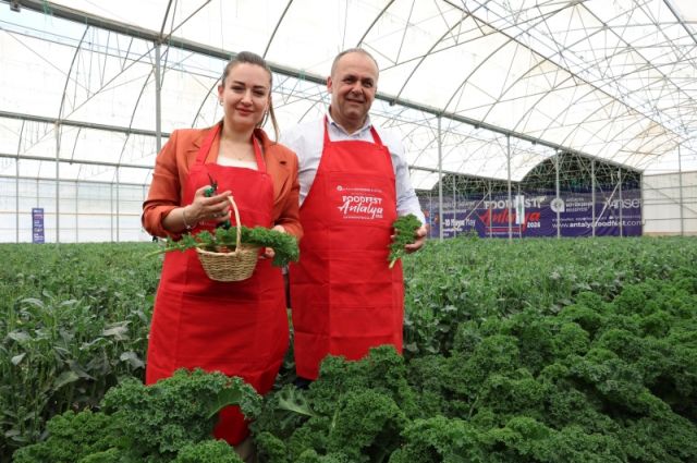 Antalya’da 5. Uluslararası FoodFest hasat etkinliğiyle başladı