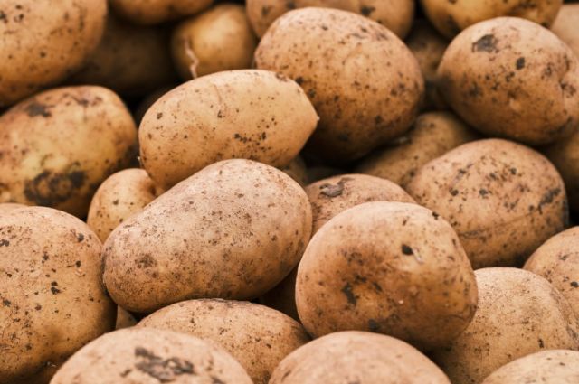 Avrupa'da patates borsası bir ayda yüzde 704 yükseldi