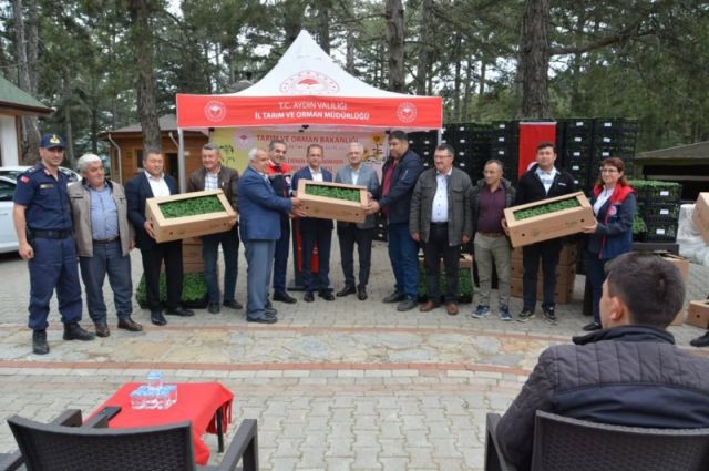 Aydın İl Tarım Müdürlüğü Kuyucak'ta Domates Fidesi Dağıttı