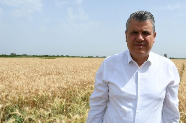 CHP'li Ayhan Barut: Buğday Alım Fiyatı En Az 25 Lira Olmalı