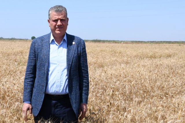 CHP'li Barut: TMO Çukurova buğday alım fiyatını 20 lira açıklamalı