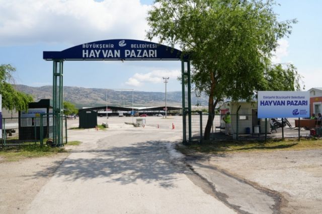 Eskişehir’de Kurban Pazarı İçin Başvuru Süreci Başladı