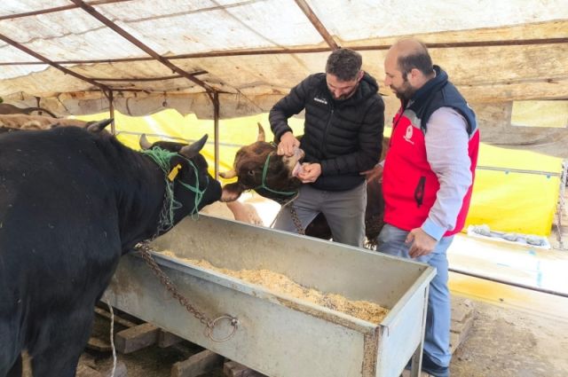 Giresun İl Tarım'dan Ülper kurban pazarında sıkı denetim