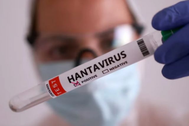 Kars VHO Başkanı Ödül: Türkiye’de Hantavirüs Vakası Yok