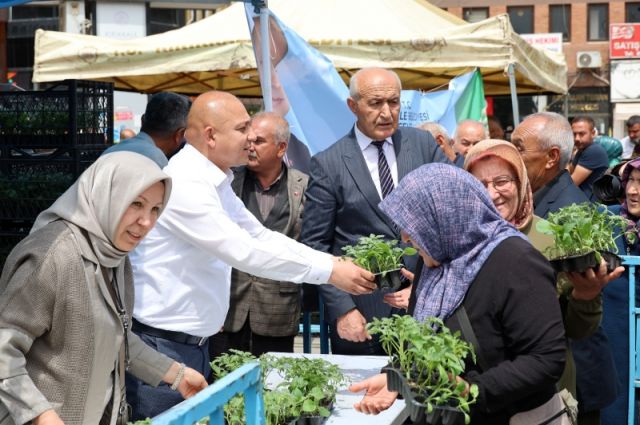 Kırıkkale Belediyesi Cumhuriyet Meydanı'nda 500 Bin Fide Dağıttı