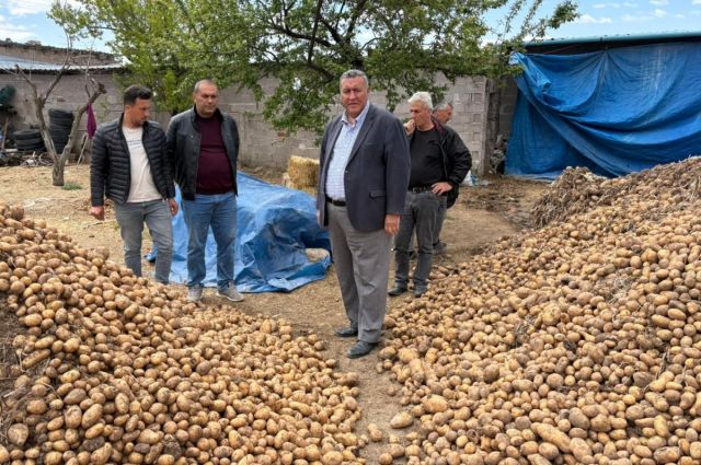 Niğdeli patates üreticisi isyan etti: 2 trilyon zararım var