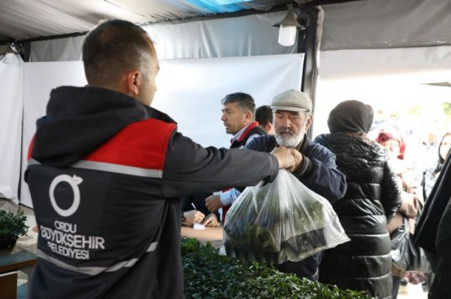Ordu Büyükşehir Belediyesi 300 Bin Yazlık Fide Dağıtıyor