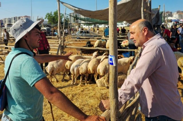 Osman Türkman Açıkladı: Kurbanlık Fiyatları Neden Artıyor?