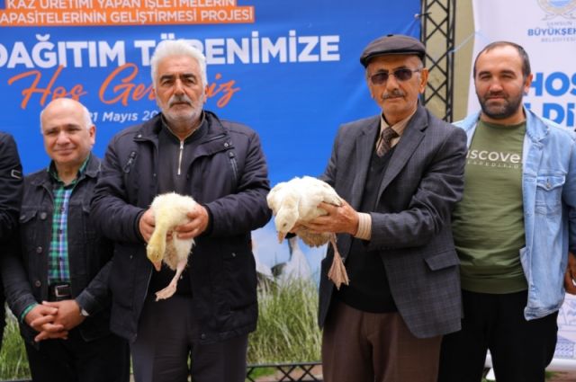 Samsun Büyükşehir Belediyesi Üreticilere Kaz Palazı Dağıttı