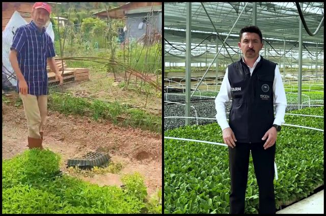 TAGEM: Ata Tohumu Yasaklanmadı, Denetimsiz Satışa Ceza Var