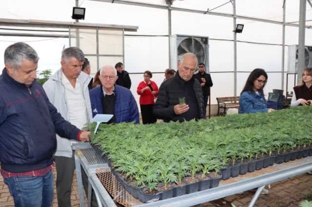 TBB Tarım Komisyonu Şanlıurfa'da üretim sahalarını gezdi
