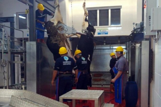 Tekirdağ Büyükşehir Belediyesi Bayram Mezbaha Programını Açıkladı
