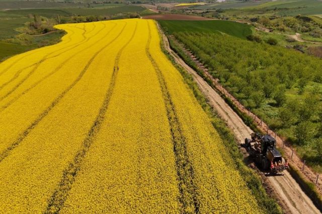 Tekirdağ Büyükşehir’den Tarla Yollarında Hasat Mesaisi