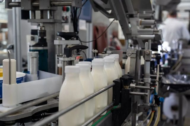 TÜİK: Martta İçme Sütü Üretimi Yüzde 10,5 Arttı