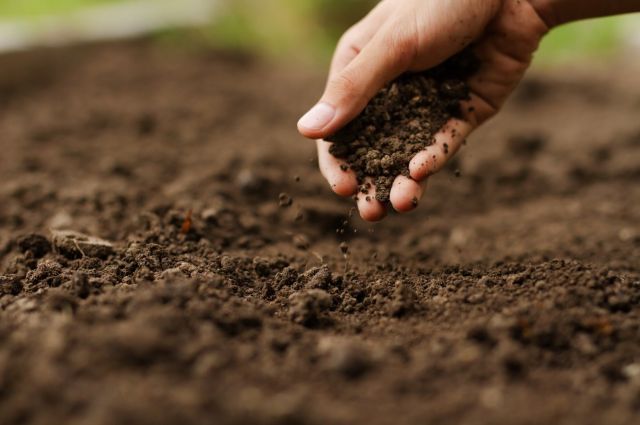 TÜİK: Tarımsal girdi fiyatları martta yüzde 34,26 arttı