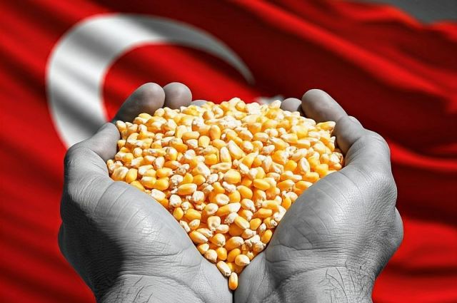 Türkiye mısır ithalat kotasının yüzde 20’sini kullandı