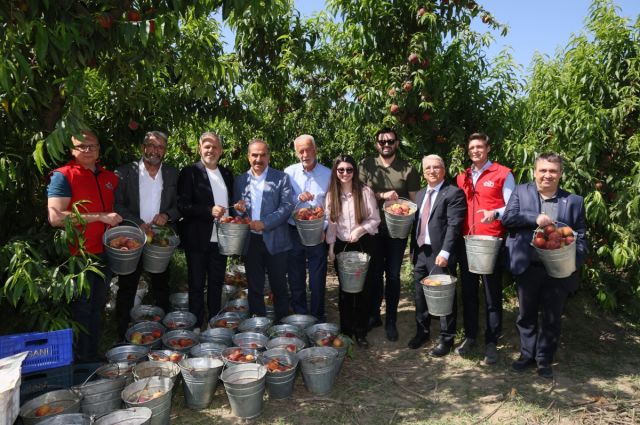 Türkiye Şeftali İhracatında Yüzde 347'lik Rekor Artış Yakaladı