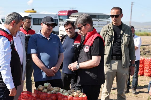 Amasya Oluz Köyü'nde sezonun ilk soğan hasadı gerçekleştirildi