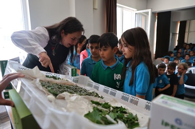 Antalya Büyükşehir’den Çocuklara İpekböceği Eğitimi