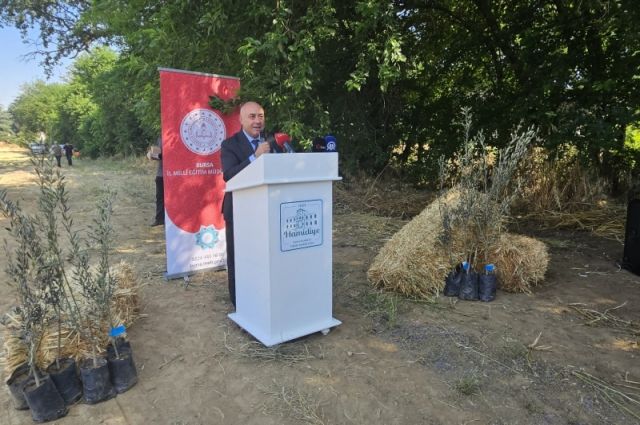 Bursa'da protokol imzalandı: Öğrenciler zeytin fidanı dikti