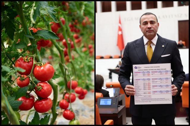 CHP'li Kaya TBMM'de uyardı: Kumluca'da çiftçi zarar ediyor