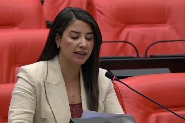 DEM Partili Dilan Kunt Ayan TMO Fiyatlarının Güncellenmesini İstedi