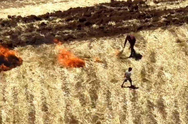 Dicle Elektrik: Viranşehir'de 29 Kaçak Trafo Tespit Edildi