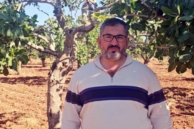 Faruk Akbaş: Fıstık bahçelerinde aşı kalemi hırsızlığı arttı