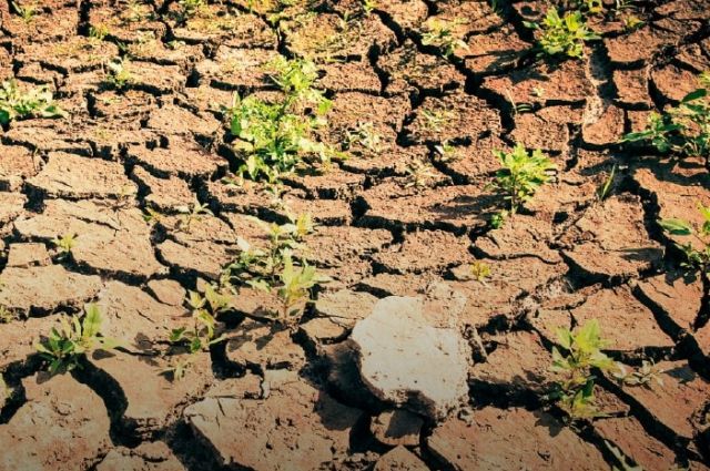 İzmir'de COP31 karşıtı İklim Adaleti Forumu toplanıyor