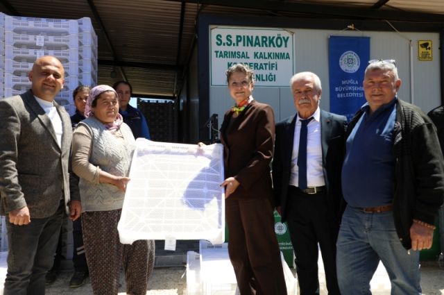Muğla BB Köyceğiz'de 120 aileye ipek böceği desteği verdi