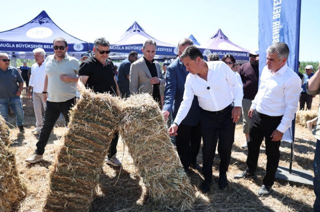 Muğla Büyükşehir Belediyesi Milas'ta Yem Desteği Dağıttı