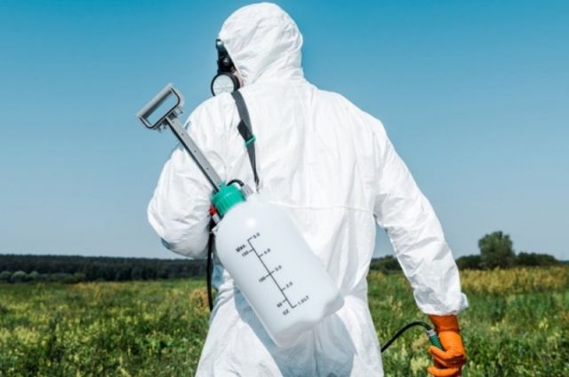 Rosstat: Rusya'da pestisit ve agrokisayasal fiyatları düştü