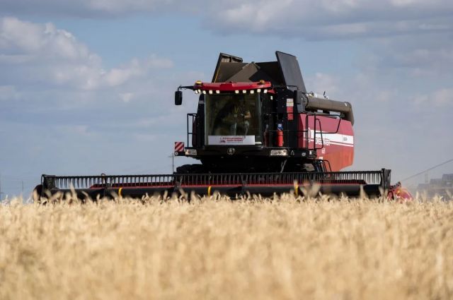 Rusagrotrans: Rusya'nın Buğday İhracatı 47 Milyon Tonu Aşacak