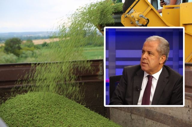 Şamil Tayyar: Üretici Maliyet Nedeniyle Bezelyeyi Tarlada Bıraktı