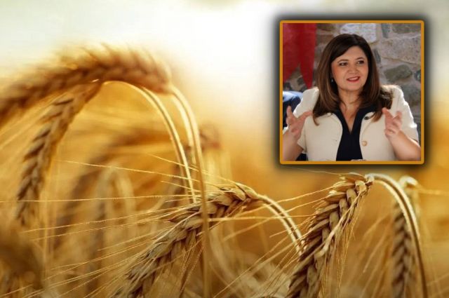 Taşçı: Buğday Parası Çiftçinin Cebine Girmeden Eriyecek