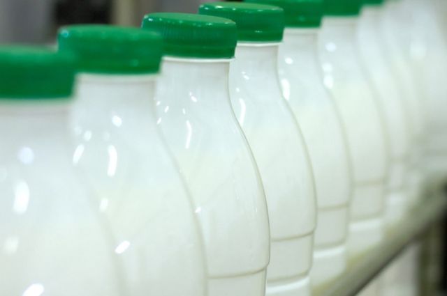TÜİK açıkladı: Nisan ayında 994 bin ton inek sütü toplandı
