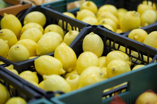 Türkiye’nin limon ihracatı miktar bazında düşerken