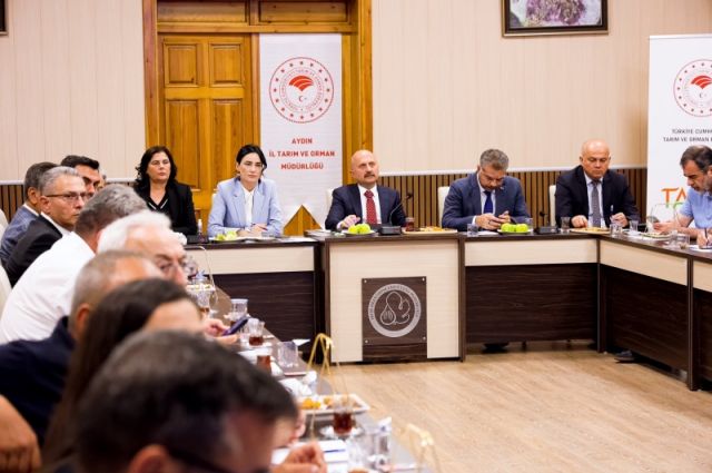 Aydın'da İncir Zirvesi: Kuru İncirde Kalite Seferberliği