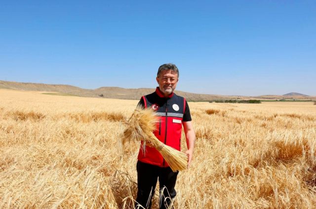 Bakan Yumaklı: Hububat Alımı 8,3 Milyon Tona Ulaştı