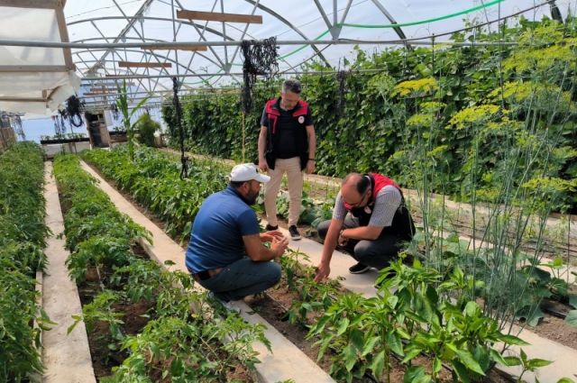 Bayburt İl Tarım Müdürü Köse'den sera üreticisine ziyaret