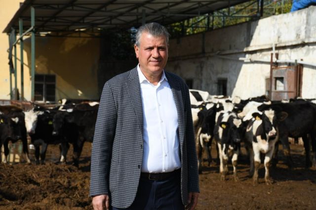 CHP'li Barut: Çiğ süt fiyatı üreticiyi mağdur ediyor