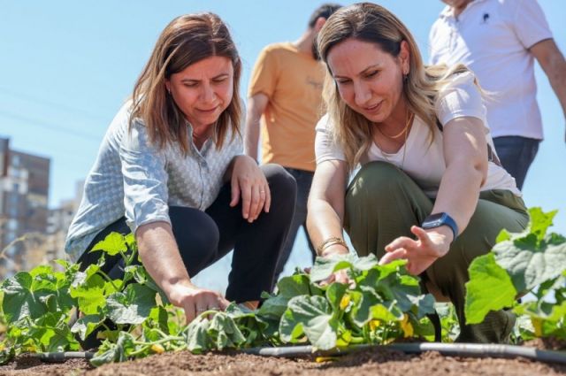 Diyarbakır Büyükşehir ekolojik üretimi büyütme hazırlığında
