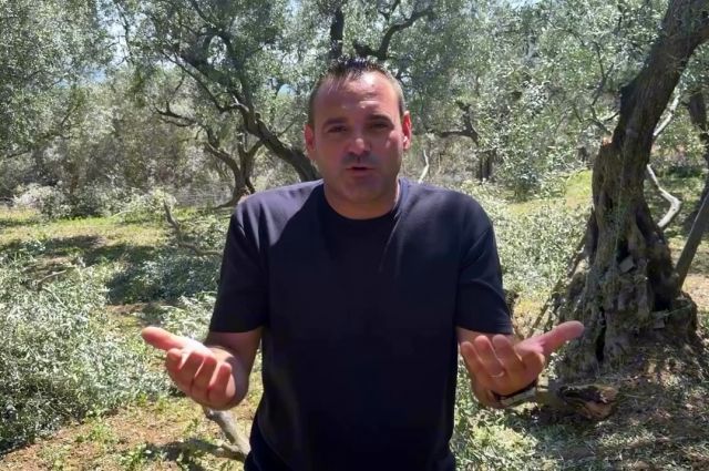 Erdek Ziraat Odası Başkanı Mustafa Saçıl: Bazı Zeytinliklerde Hasar %100'e Ulaştı