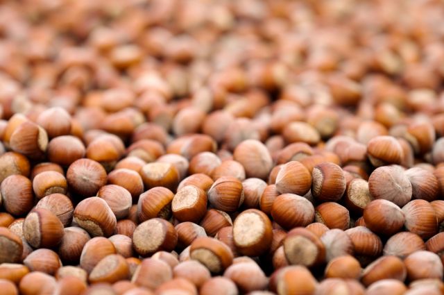 Ferrero, sürdürülebilir tarım yatırımlarındaki ilerlemeyi açıkladı
